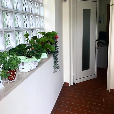 Treviso Rooms Exterior foto